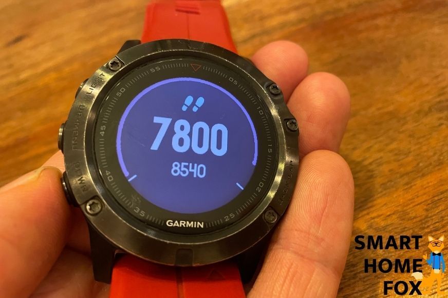 Fenix 5 cheap plus sapphire test